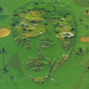 黄色一级片在线
