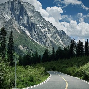 黄色一级片在线
